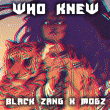 Who Knew – Black Zang | MOGZ drops their Bang Angeles Music Video
