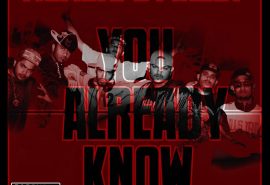 Mumbai's Finest mixtape "You Already Know" finally out!