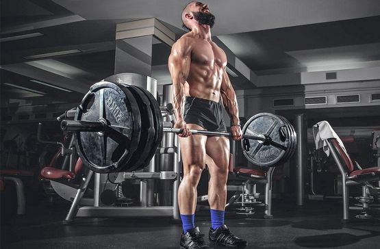 Testosterona: el rey de los esteroides Testosterona: el rey de los esteroides